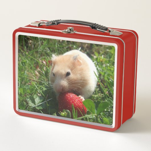 Hammie Avec Fraises Lunchbox Métal (Devant)