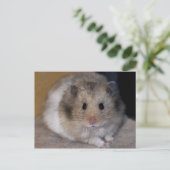 Hammie Briefkaart (Staand voorkant)