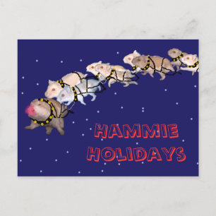 Hammie Feestdagen