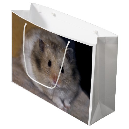 Hammie Gift Bag Large Cadeauzakje (Voorkant Gekanteld)