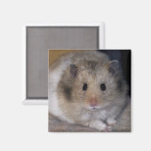 Hammie Magnet Magneet (Voorkant / Achterkant)