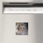 Hammie Magnet Magneet (Insitu (Vaatwasser))