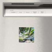 Hammock op het strand, Fiji Magneet (Insitu (Vaatwasser))