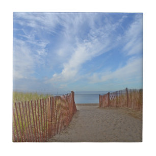Hammonasset Beach Tegel Tegeltje