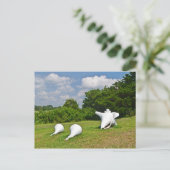 Hammonasset-Briefkaart Briefkaart (Staand voorkant)