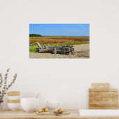 Hammonasset Driftwood Poster (Keuken)