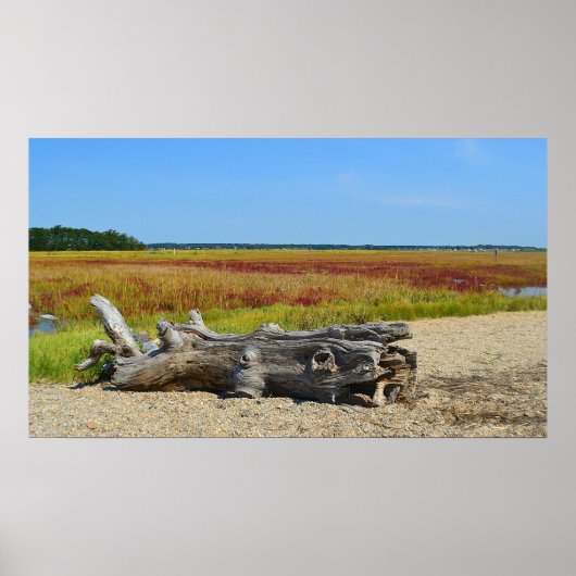 Hammonasset Driftwood Poster (Voorkant)