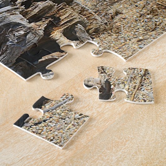 Hammonasset Driftwood Puzzle (Côté)