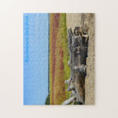 Hammonasset Driftwood Puzzle (Vertical)