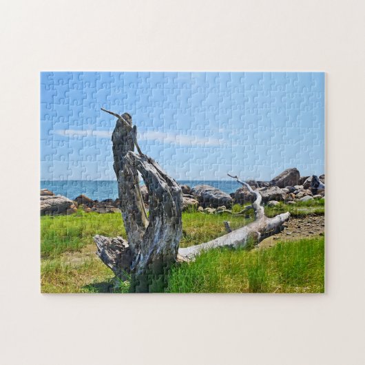 Hammonasset Driftwood Puzzle Legpuzzel (Horizontaal)