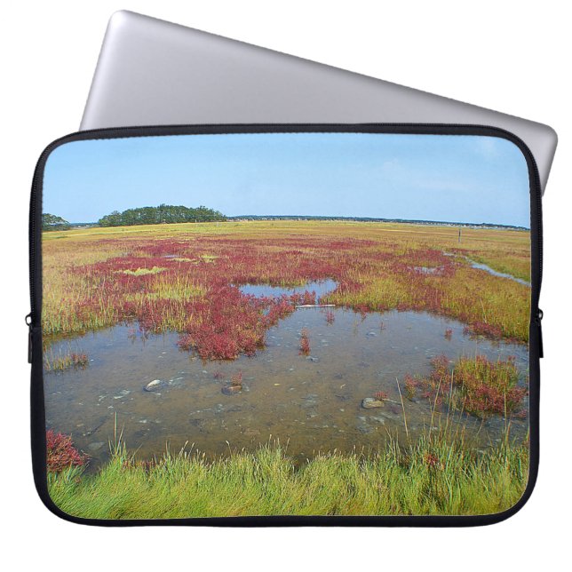 Hammonasset Marsh-laptophoes Laptop Sleeve (Voorkant)