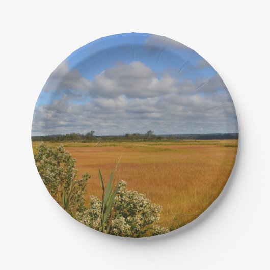Hammonasset Marsh Paper Bord (Voorkant)