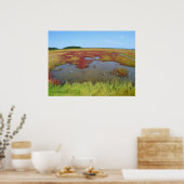 Hammonasset-Poster Poster (Keuken)