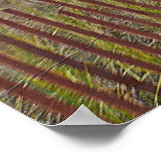 Hammonasset-Poster Poster (Hoek)