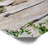 Hammonasset-Poster Poster (Hoek)