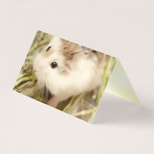 Hammyville - Cute Hamster (Front)