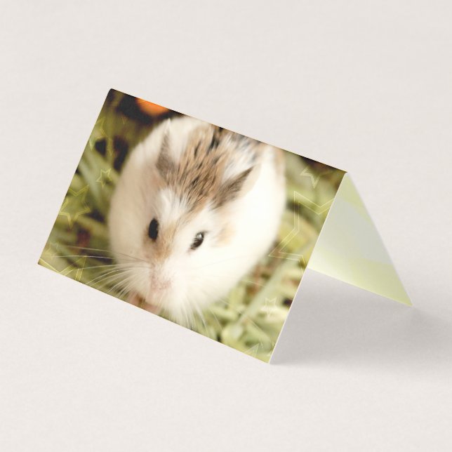 Hammyville - Cute Hamster (Front)