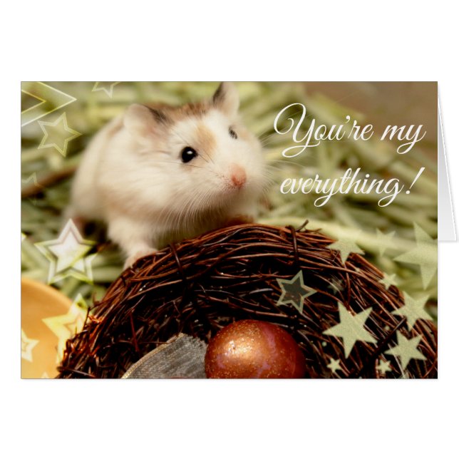 Hammyville - Cute Hamster and Nest (Devant horizontal)