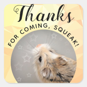 HammyVille - Cute Hamster-Bedankt voor komplein Vierkante Sticker