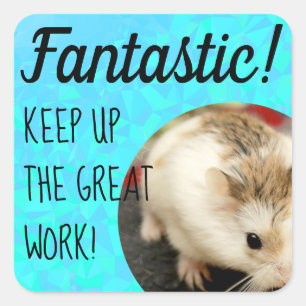 HammyVille - Cute Hamster Fantastic Great Work Vierkante Sticker