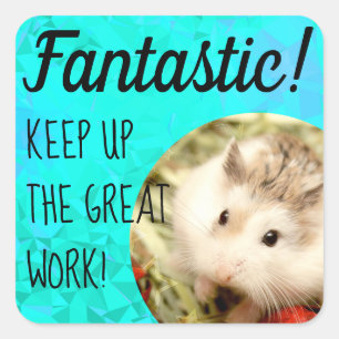HammyVille - Cute Hamster Fantastic Great Work Vierkante Sticker