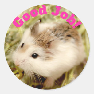 Hammyville - Cute Hamster Good Job Ronde Sticker