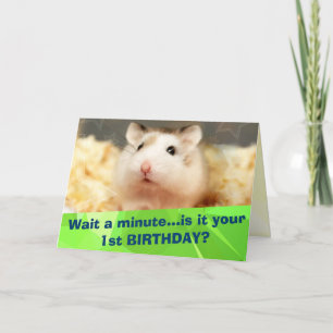 Hammyville - Cute Hamster Happy Birthday Kaart