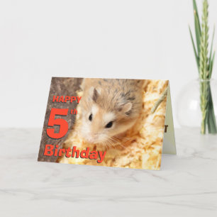 Hammyville - Cute Hamster Happy Birthday Kaart
