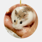 Hammyville - Cute Hamster Keramisch Ornament (Achterkant)