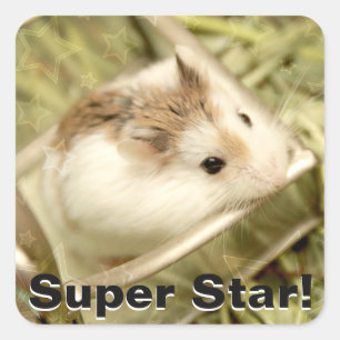 Hammyville - Cute Hamster Vierkante Sticker