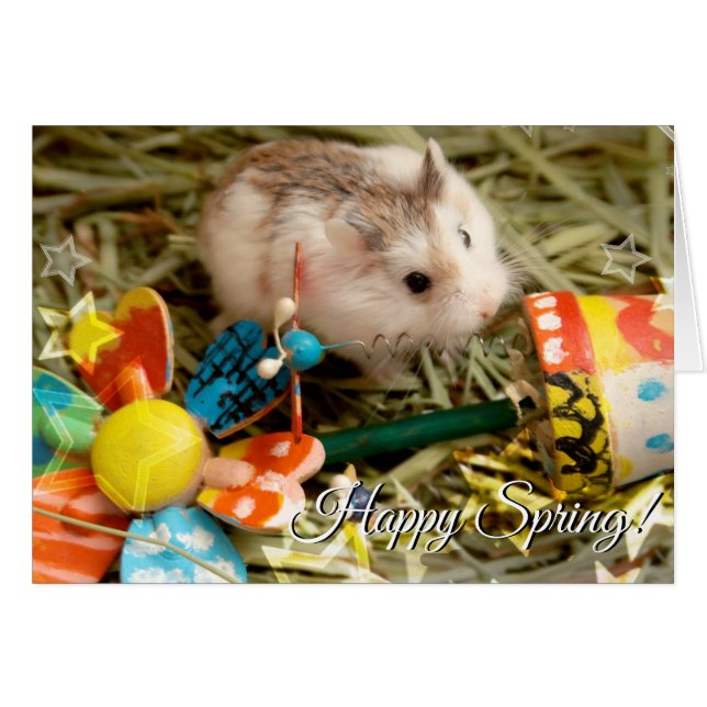 Hammyville - Hamster de fleurs de printemps (Devant horizontal)
