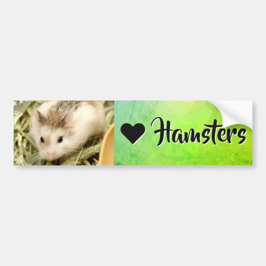 Hammyville - I Love Hamster Bumpersticker (Voorkant)