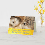 Hammyville - Jolie carte d'anniversaire Hamster (Fleur jaune)