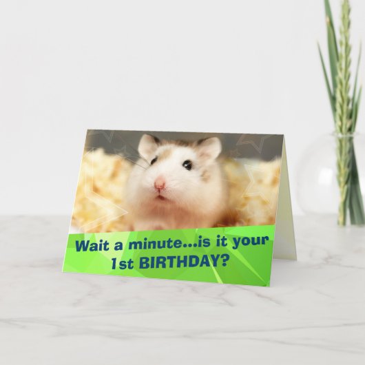 Hammyville - Jolie carte d'anniversaire Hamster (Devant)