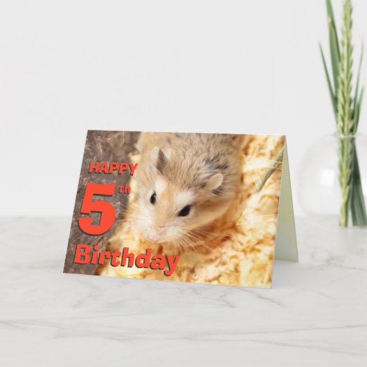 Hammyville - Jolie carte d'anniversaire Hamster (Devant)