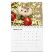 Hammyville - Lichte sterren Kalender (Feb 2026)