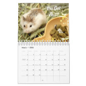 Hammyville - Lichte sterren Kalender (Mar 2026)