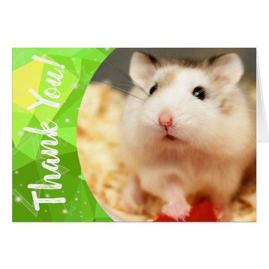 Hammyville - Merci de Hamster mignon (Devant horizontal)