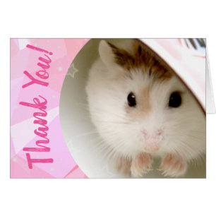 Hammyville - Merci de Hamster mignon