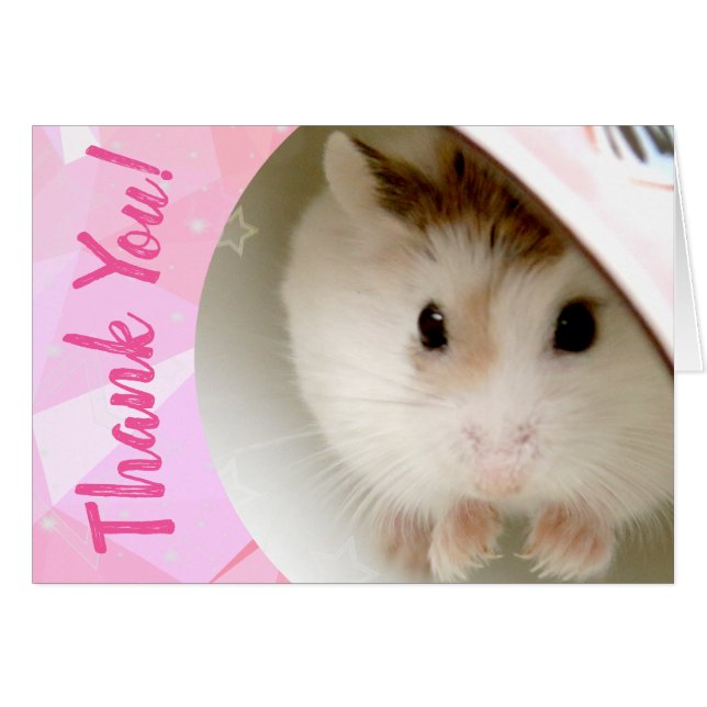 Hammyville - Merci de Hamster mignon (Devant horizontal)