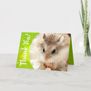 Hammyville - Merci de Hamster mignon