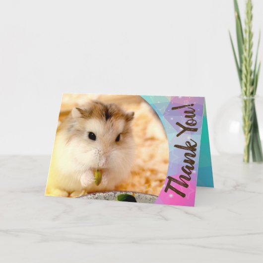 Hammyville - Merci de Hamster mignon (Devant)