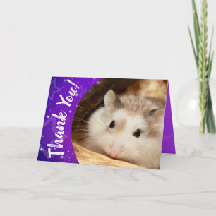 Hammyville - Merci mignon de hamster