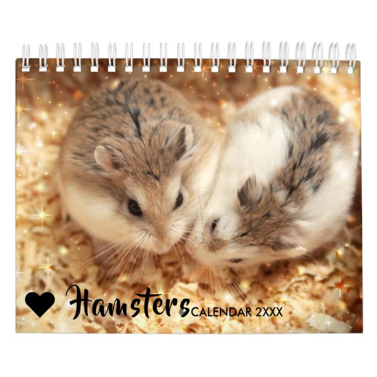 Hammyville - Sparkle Kalender (Hoes)