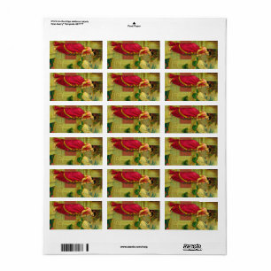 Hamsa en Damayanti door Raja Ravi Varma Etiket