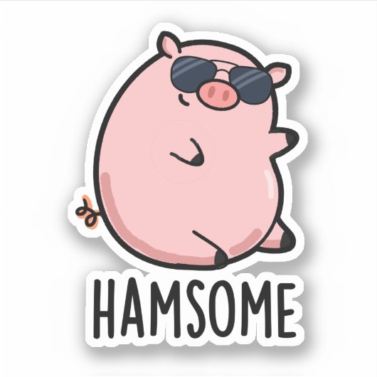 Hamsome Grappig Pun Sticker (Voorkant)