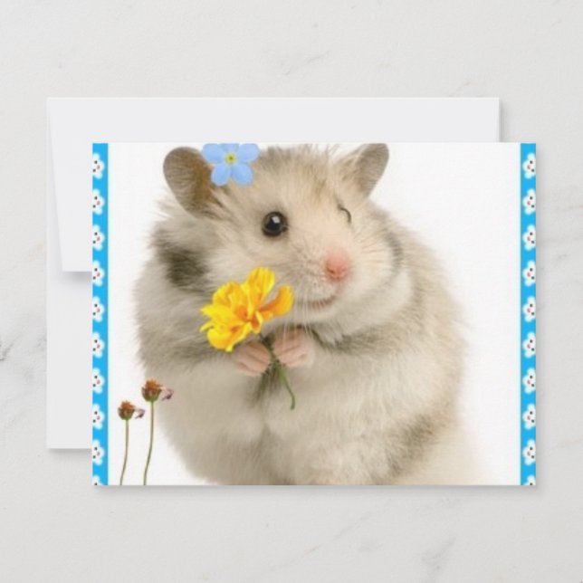 hamster (Voorkant)