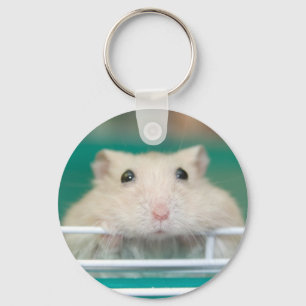 Hamster: Bieden om aandacht Sleutelhanger