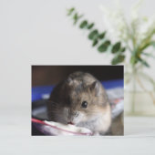 Hamster Briefkaart (Staand voorkant)