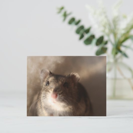 Hamster Briefkaart (Staand voorkant)
